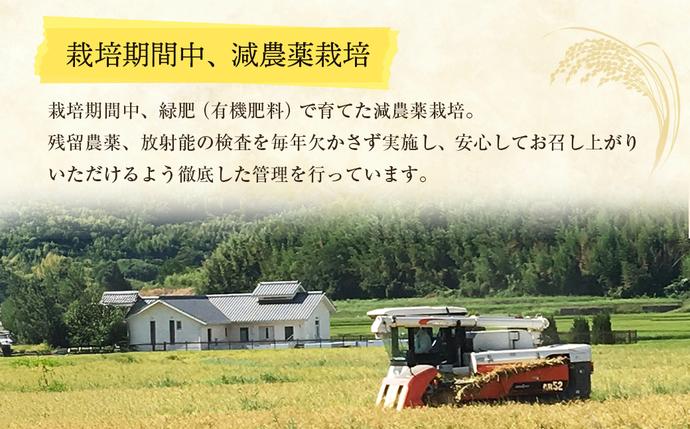 兵庫県淡路市のふるさと納税 【定期便】野添農園のコシヒカリ 5kgｘ12ヶ月「ひょうご安心ブランド」　[精米 白米]