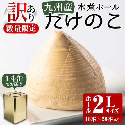 訳あり・業務用＞数量限定！1斗缶たけのこ水煮ホール2L(16本～20本