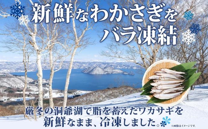 北海道洞爺湖町のふるさと納税 洞爺湖町産 黄金のわかさぎ 18尾×4P 計72尾 北海道産 ワカサギ わかさぎ 川魚 魚介類 産地直送 冷凍 お取り寄せ グルメ 料理 天ぷら フライ とうやマルシェ 北海道 洞爺湖町