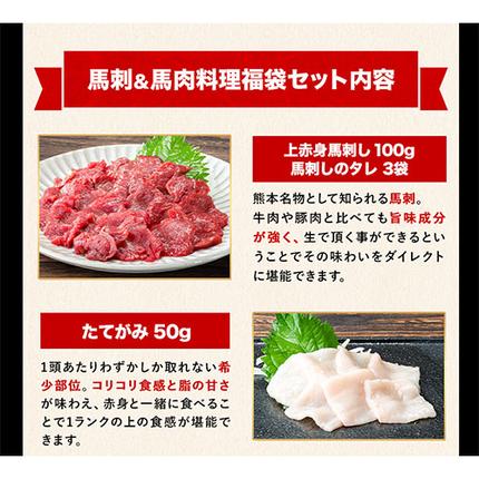 熊本県長洲町のふるさと納税 純国産馬刺し＆馬肉料理福袋 計1kg 熊本肥育 2年連続農林水産大臣賞受賞 送料無料 上赤身馬刺し100g たてがみ50g 馬とろ150g 馬ソーセージ500g 燻製 霜降り ハン馬ーグ200g(2個入り) タレ付き 熊本県長洲町《90日以内に出荷予定(土日祝除く)》