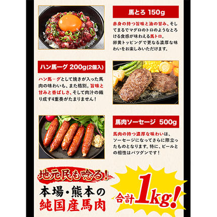 熊本県長洲町のふるさと納税 純国産馬刺し＆馬肉料理福袋 計1kg 熊本肥育 2年連続農林水産大臣賞受賞 送料無料 上赤身馬刺し100g たてがみ50g 馬とろ150g 馬ソーセージ500g 燻製 霜降り ハン馬ーグ200g(2個入り) タレ付き 熊本県長洲町《90日以内に出荷予定(土日祝除く)》