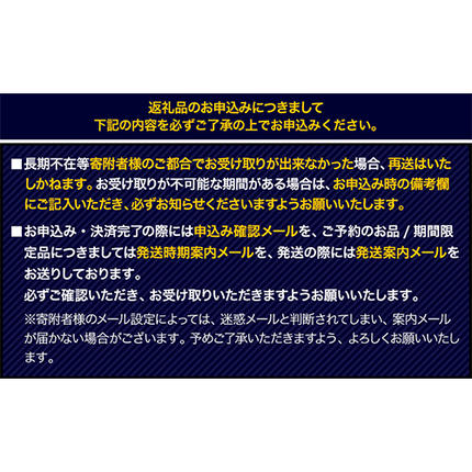 熊本県長洲町のふるさと納税 純国産馬刺し＆馬肉料理福袋 計1kg 熊本肥育 2年連続農林水産大臣賞受賞 送料無料 上赤身馬刺し100g たてがみ50g 馬とろ150g 馬ソーセージ500g 燻製 霜降り ハン馬ーグ200g(2個入り) タレ付き 熊本県長洲町《90日以内に出荷予定(土日祝除く)》