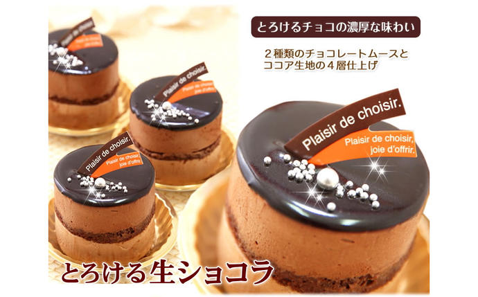 北海道新ひだか町のふるさと納税 リッチな味わい♪チョコレートケーキ『とろける生ショコラ』　北海道・新ひだか町のオリジナルケーキ