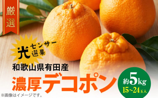 AB6175n_【2027年先行予約】和歌