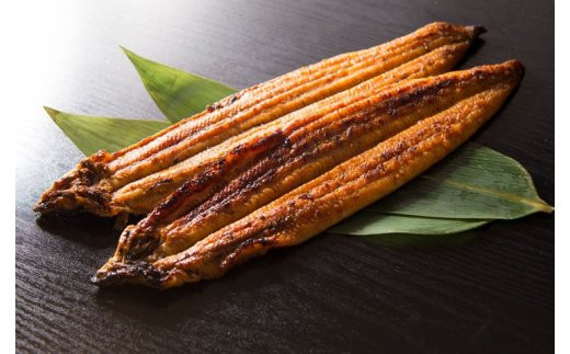 和歌山県湯浅町のふるさと納税 V6201_炭焼きうなぎ蒲焼　特大サイズ2尾セット（約200g前後×2尾）タレ・粉山椒付き　国産鰻　冷凍ウナギ　1尾ずつ真空パック　土用の丑の日　紀伊国屋文左衛門本舗