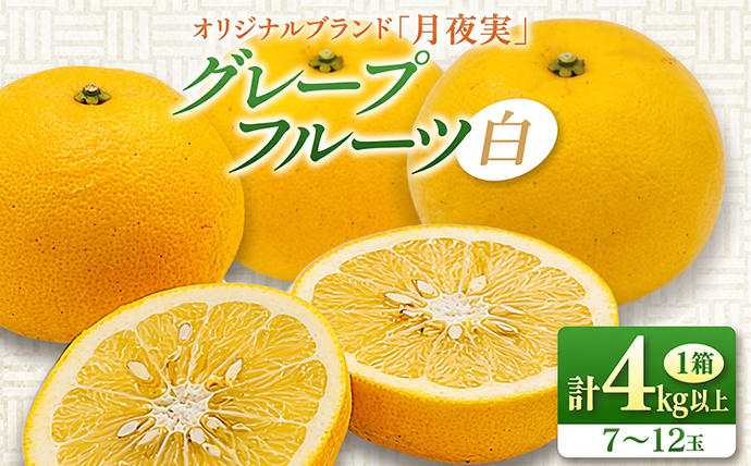 宮崎県日南市のふるさと納税 ★テレビで紹介された★ 先行予約 グレープフルーツ 月夜実 白 つくよみ 計4kg以上 希少 完熟 果物 くだもの 柑橘 オリジナル ブランド 国産 食品 おすすめ デザート スイーツ おやつ おすそ分け お取り寄せ グルメ 産地直送 宮崎県 日南市 送料無料_BBV5-24