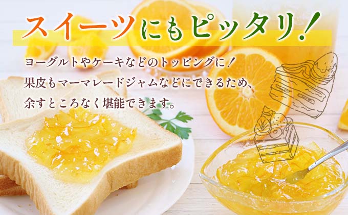 宮崎県日南市のふるさと納税 【セゾン限定】★テレビで紹介された★ 数量限定 グレープフルーツ 月夜実 白 つくよみ 計4kg以上 期間限定 希少 完熟 果物 くだもの 柑橘 オリジナル ブランド 国産 食品 人気 おすすめ デザート スイーツ おやつ おすそ分け お取り寄せ グルメ 産地直送 宮崎県 日南市 送料無料_BBV5-25