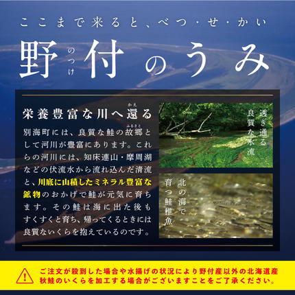 北海道別海町のふるさと納税 いくら！漁協 直送！本場「北海道」 いくら 醤油漬け 750g！【NK003NQ13】( いくら いくら醤油漬け いくら醤油漬 醤油いくら 鮭いくら 国産いくら 北海道産いくら 地場産いくら 道産いくら 別海町 ふるさと納税 ふるさと ikura お届け）