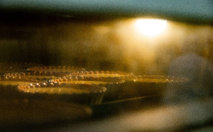 北海道富良野市のふるさと納税 ふらの 雪どけ チーズケーキセット（プレーン・いちご）各1個 お菓子 スイーツ デザート ケーキ お祝い おやつ 贈り物 ギフト 甘い 手作り 北海道 送料無料 道産 富良野 ふらの 人気