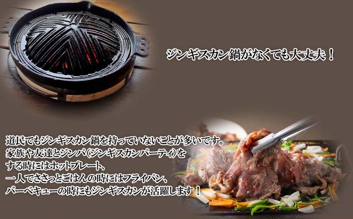 北海道新ひだか町のふるさと納税 北海道 ラム肉 味付け ジンギスカン 500g
