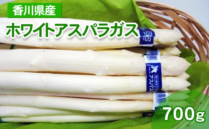 【ふるさと納税でホワイトアスパラガス】ホワイトアスパラ700g（100g×7束）【アスパラ・香川県産・白アスパラ・冷蔵便・アスパラガス・野菜・甘い・美味しい・1万円以下・8000円台・肉厚・野菜セット・新鮮・旬・とれたて・お取り寄せ・小分け・BBQ・自宅用・家庭用】