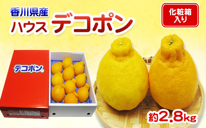 香川県東かがわ市のふるさと納税 ハウスデコポン 2.8kg 化粧箱 香川県産 デコポン でこぽん フルーツ 果物 くだもの 旬のフルーツ 旬の果物 柑橘 柑橘類 ハウス みかん ハウスみかん 香川 香川県 東かがわ市