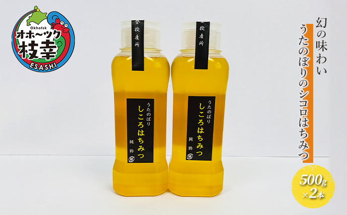 北海道枝幸町のふるさと納税 幻の味わい うたのぼりのシコロはちみつ500g×2本【オホーツク枝幸】【 蜂蜜 ハチミツ はちみつ グルメ お土産  国産はちみつ 健康 北海道 オホーツク 枝幸 】