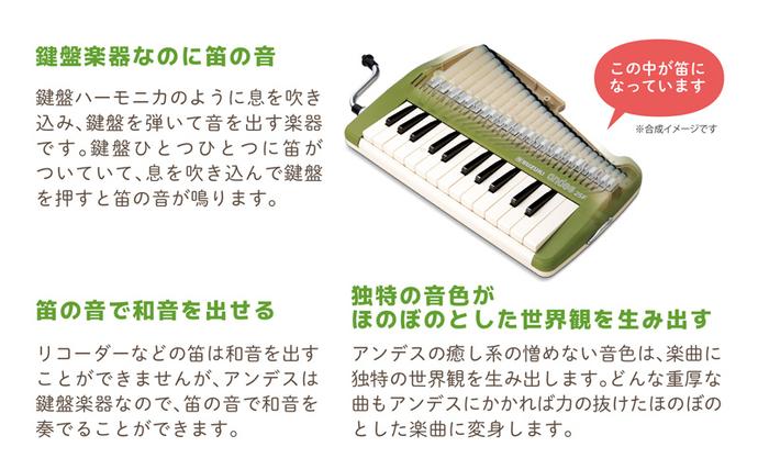 静岡県浜松市のふるさと納税 ゆる～い音色を楽しめる鍵盤リコーダー アンデス 雑貨 日用品