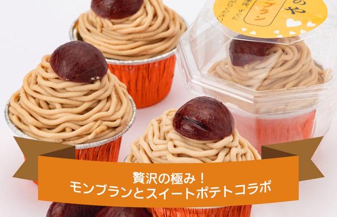 大阪府泉佐野市のふるさと納税 大人気！高級渋皮栗1.5個と芋匠さのや自慢のスイートポテトが入ったモンブラン！400g（4個×100g） 099H1062