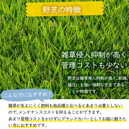 天然芝＜野芝＞10平米! c5-030 / 鹿児島県志布志市 | セゾンのふるさと納税
