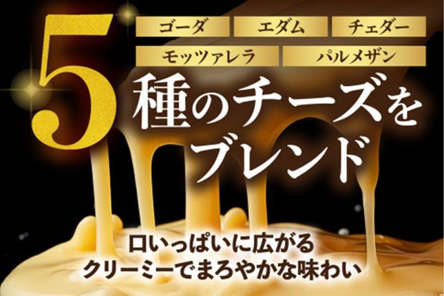 福岡県飯塚市のふるさと納税 5種のチーズ入り鉄板焼ハンバーグ(デミグラスソース)16個【A6-029】