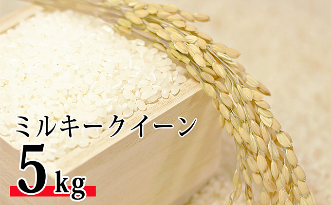令和6年環境こだわり近江米ミルキークイーン5kg（無洗米） お米 / 滋賀