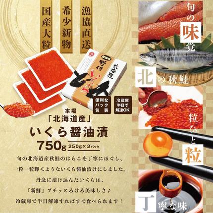 北海道別海町のふるさと納税 いくら！本場「北海道」 いくら 醤油漬け 750g！【NK003NQ13】( いくら いくら醤油漬け いくら醤油漬 醤油いくら 鮭いくら 国産いくら 北海道産いくら 地場産いくら 道産いくら 別海町 ふるさと納税 ふるさと ikura お届け）