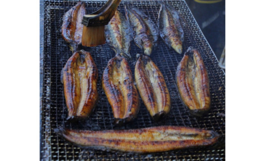 高知県田野町のふるさと納税 【四国一小さなまち】≪ヤマシン≫ ※ 冷凍 ※ 特選うなぎの蒲焼き　３尾