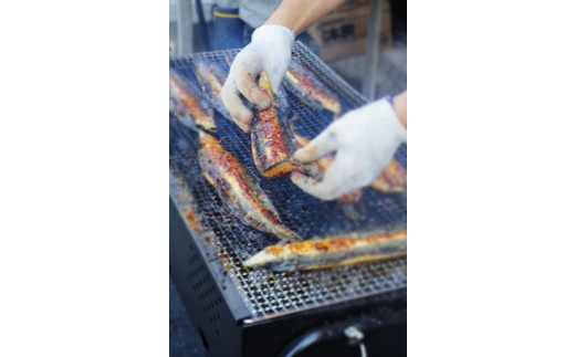 高知県田野町のふるさと納税 【四国一小さなまち】≪ヤマシン≫ ※ 冷凍 ※ 特選うなぎの蒲焼き　３尾