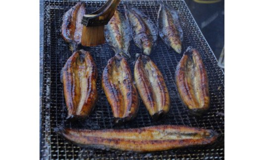 高知県田野町のふるさと納税 【四国一小さなまち】≪ヤマシン≫ ※ 冷凍 ※ 特選うなぎの蒲焼き　２尾