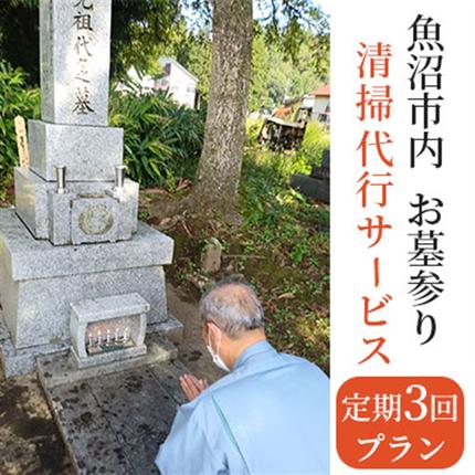 お墓参り・清掃代行サービス定期3回プラン(実施期間:5月〜10月) チケット