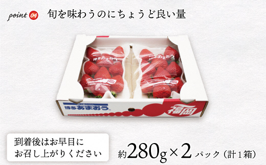 福岡県福津市のふるさと納税 【2026年3月下旬より順次発送】博多あまおう2パック　約560g[G2211a]