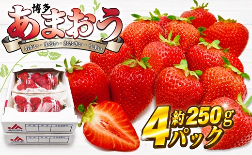 【2027年3月下旬より順次発送】博多あま