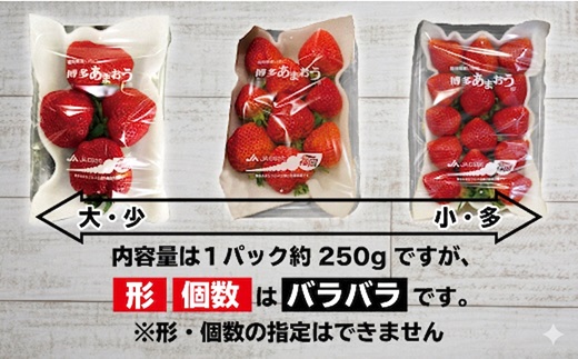 福岡県福津市のふるさと納税 【2027年3月下旬より順次発送】博多あまおう4パック 約1kg[H2213]