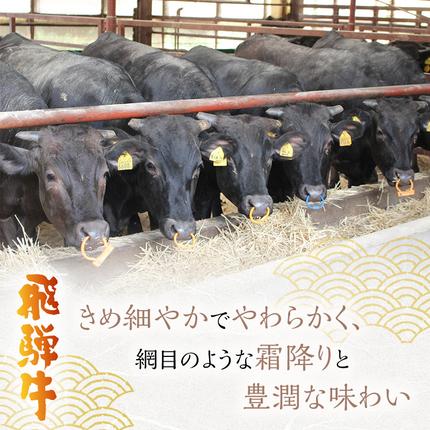 岐阜県海津市のふるさと納税 飛騨牛 岐阜県海津市産 すき焼き 切り落とし 500g 牛肉 すきやき お肉 冷凍