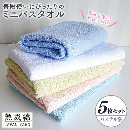 泉州タオル「普段使いにぴったりのミニバスタ
