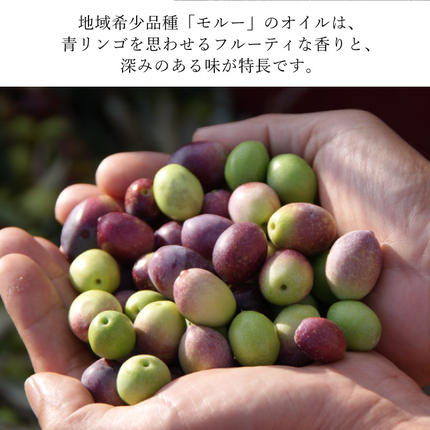 岡山県瀬戸内市のふるさと納税 【期間・数量限定 先着 お米小分け付き】 オリーブオイル エキストラバージン オリーブ オイル トルトサ 1本入箱×2セット  オリーブ油 食用油 ギフト セット 2024年