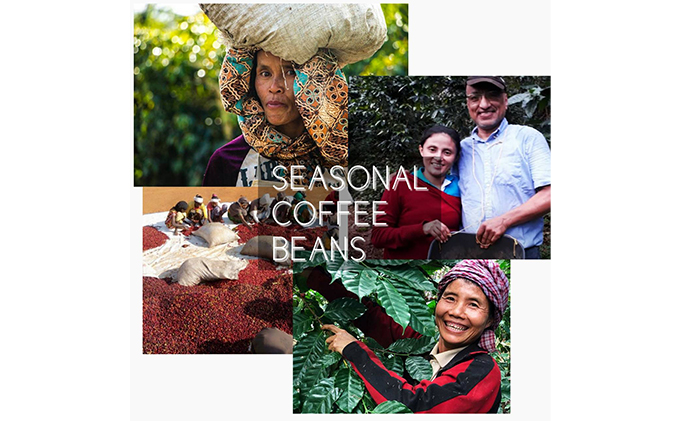 岡山県高梁市のふるさと納税 【メール便】 飲み比べドリップコーヒー、2種のスペシャルティコーヒー10杯分 飲料 珈琲 飲料類 ドリンク