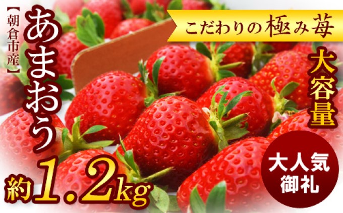 福岡県朝倉市のふるさと納税 旬の あまおう（約200g×6パック）★Cafe 楓★【配送不可：北海道・東北・沖縄・離島】 果物類 いちご 苺 イチゴ