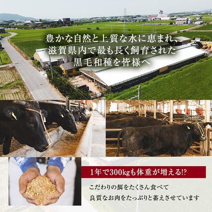 滋賀県豊郷町のふるさと納税 近江牛 すき焼き用　すき焼き 肩ロース 上部位モモ等 約1.2kg A5 雌牛 西川畜産