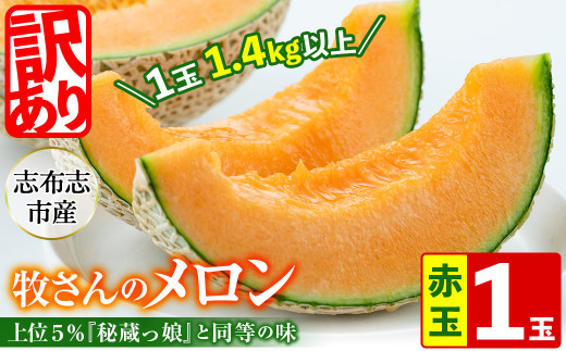 鹿児島県志布志市のふるさと納税 【春限定・数量限定】牧さんの訳ありメロン 赤玉(赤肉)1玉 a1-057-s