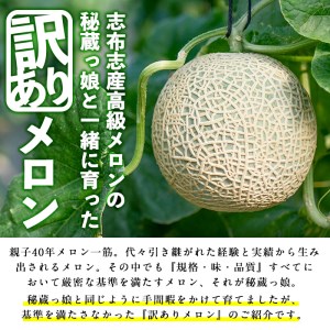 鹿児島県志布志市のふるさと納税 【春限定・数量限定】牧さんの訳ありメロン 赤玉(赤肉)1玉 a1-057-s