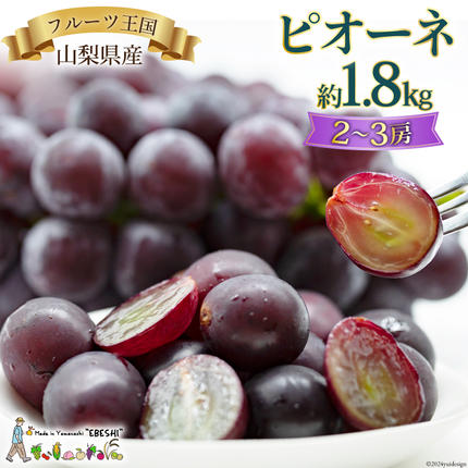 山梨県中央市のふるさと納税 山梨県産 ピオーネ 約1.8kg [株式会社えべし 山梨県 中央市 21470729] フルーツ 果物 くだもの 産地直送 期間限定 季節限定 冷蔵 【2026年8月下旬-10月上旬発送予定】