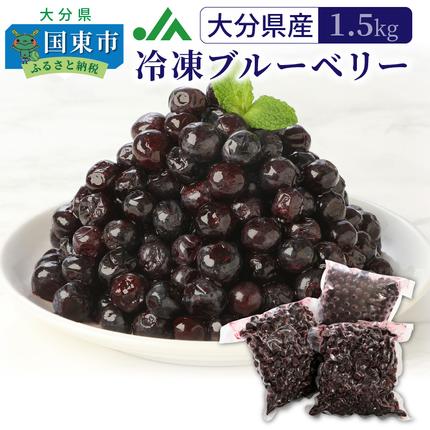大分県国東市のふるさと納税 【ご家庭用】冷凍ブルーベリー1.5kg（大分県産）