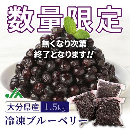 大分県国東市のふるさと納税 【ご家庭用】冷凍ブルーベリー1.5kg（大分県産）