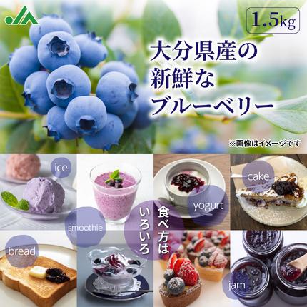 大分県国東市のふるさと納税 【ご家庭用】冷凍ブルーベリー1.5kg（大分県産）