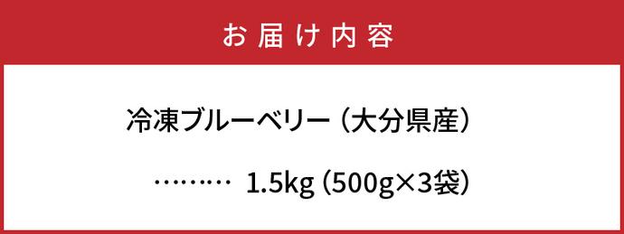 大分県国東市のふるさと納税 【ご家庭用】冷凍ブルーベリー1.5kg（大分県産）