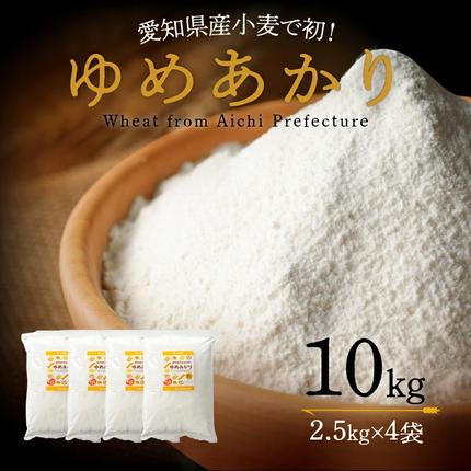 愛知県碧南市のふるさと納税 愛知県産 パン用 小麦粉 ゆめあかり 2.5kg × 4袋 計 10kg 国産 強力粉 ブランド 小麦 強力系小麦粉 ふわふわ もっちり 甘味 チャック付き パン ホームベーカリー ベーグル 食パン お取り寄せ 愛知県 碧南市 送料無料 H008-250