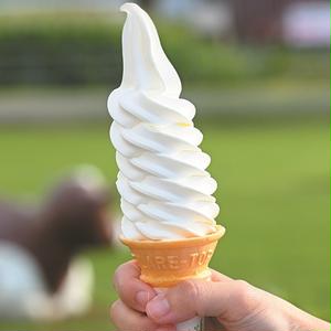 北海道池田町のふるさと納税 北海道　牧場の生ソフトクリーム14個　アイスクリーム　詰合せ