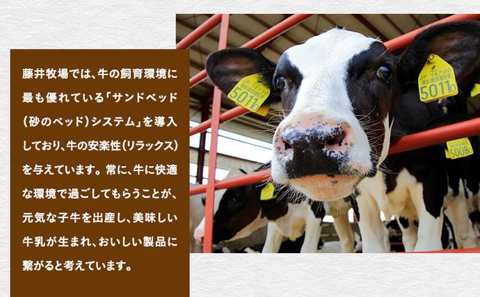 北海道富良野市のふるさと納税 富良野　藤井牧場　4種のチーズセット