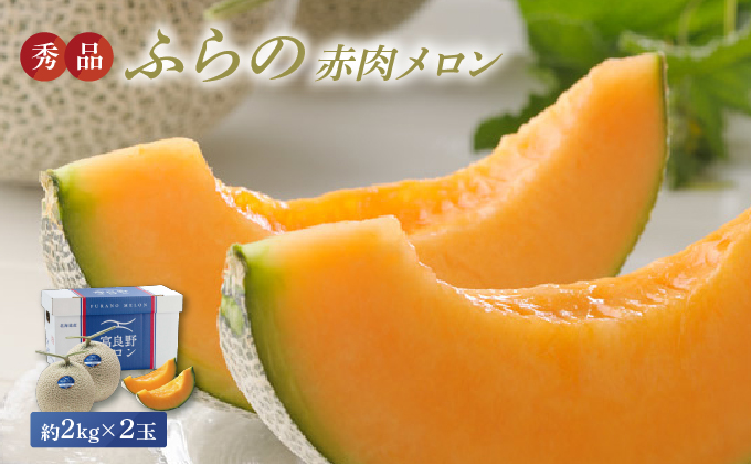 北海道富良野市のふるさと納税 【2026年8月発送】JAふらの 赤肉メロン 2玉 計4kg 富良野市 メロン フルーツ 果物