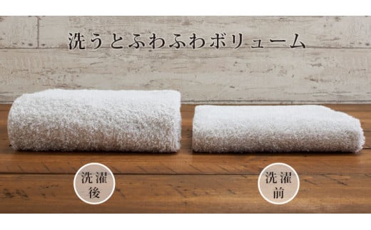 大阪府泉南市のふるさと納税 【泉州タオル】肌触りが自慢のデイリーユースフェイスタオル ベージュ 10枚【配送不可地域：北海道・沖縄・離島】【039D-247】