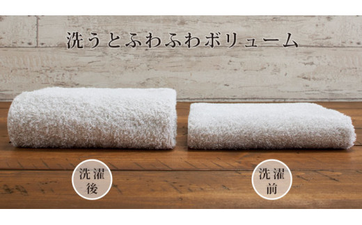 大阪府泉南市のふるさと納税 【泉州タオル】吸水力と肌触りが自慢のデイリーユースバスタオル ダークブラウン 4枚【配送不可地域：北海道・沖縄・離島】【039D-255】