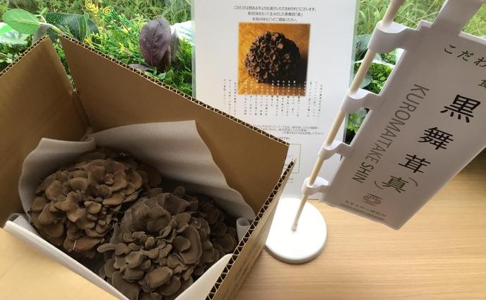 埼玉県飯能市のふるさと納税 黒舞茸「真」 1kg[52210652] きのこ マイタケ